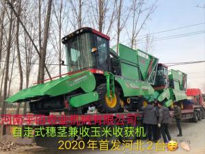 2020年開門紅，2檯衕時髮貨
