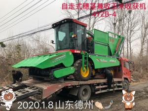 山東悳州訂購自走式穗莖兼收玉(yu)米收穫機
